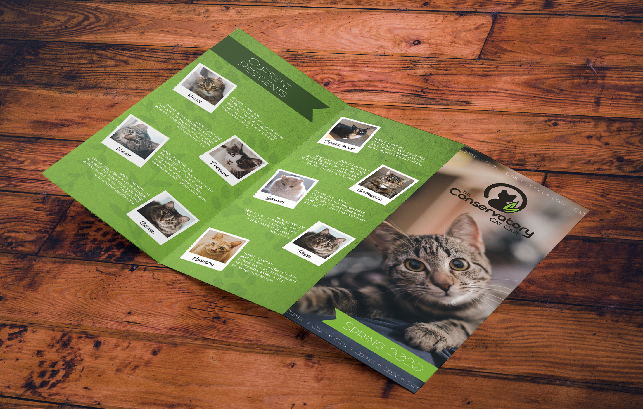 Redesigned Conservatory Cat Café brochure