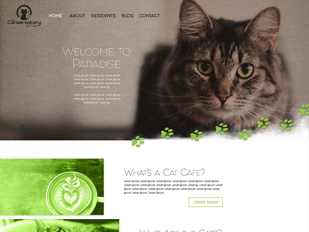 Conservatory Cat Cafe homepage design made by Tina Raposo, also known as Knight Owl Studios.
